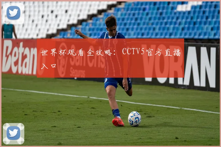 世界杯观看全攻略:CCTV5官方直播入口