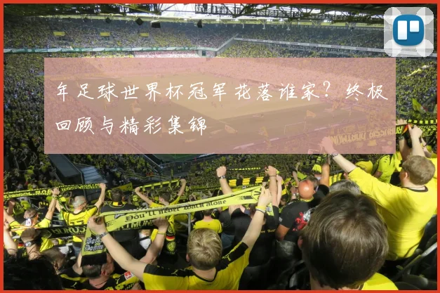 年足球世界杯冠军花落谁家？终极回顾与精彩集锦