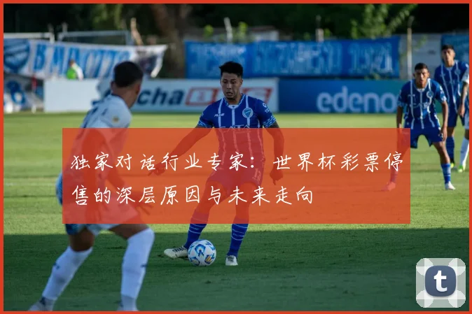 独家对话行业专家:世界杯彩票停售的深层原因与未来走向