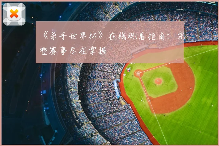 《杀手世界杯》在线观看指南:完整赛事尽在掌握