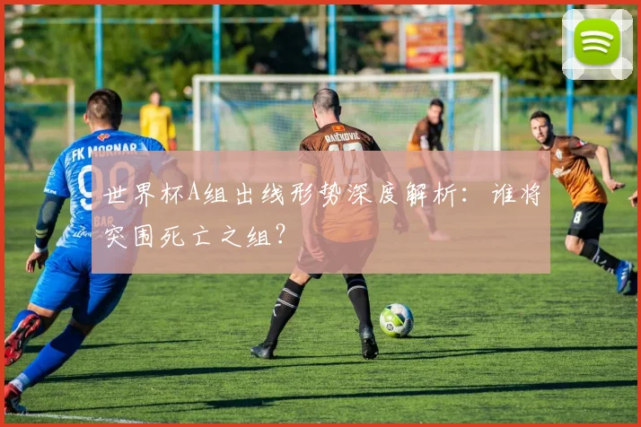世界杯A组出线形势深度解析:谁将突围死亡之组?