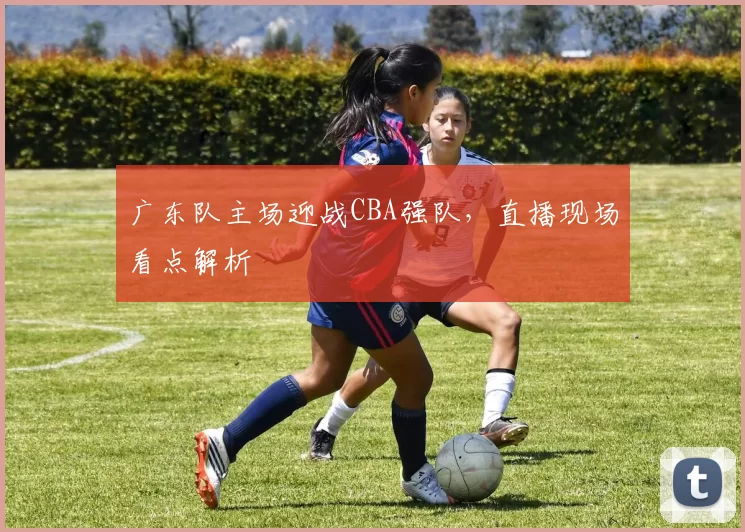 广东队主场迎战CBA强队，直播现场看点解析