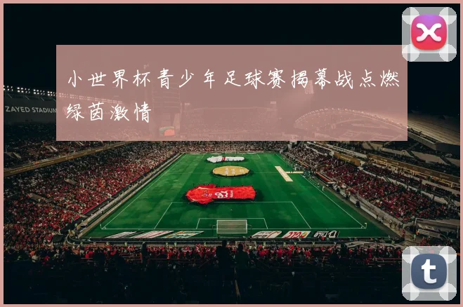 小世界杯青少年足球赛揭幕战点燃绿茵激情