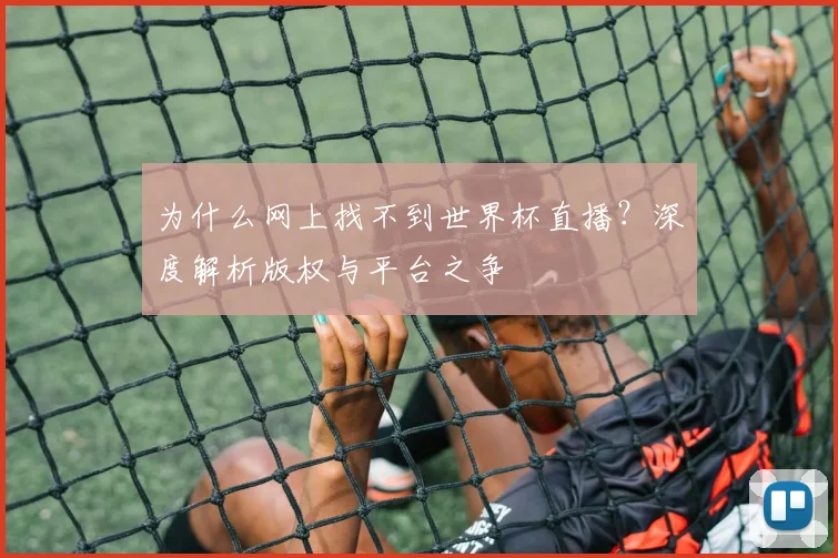 为什么网上找不到世界杯直播？深度解析版权与平台之争