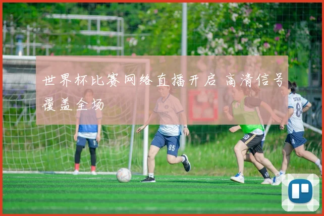 世界杯比赛网络直播开启 高清信号覆盖全场