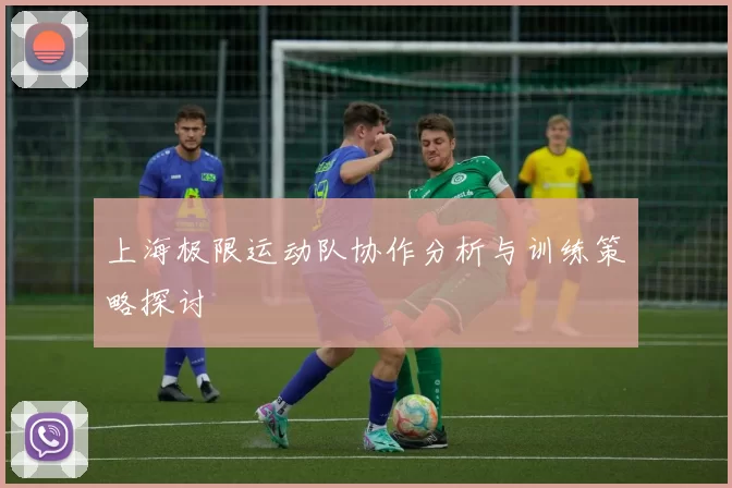上海极限运动队协作分析与训练策略探讨