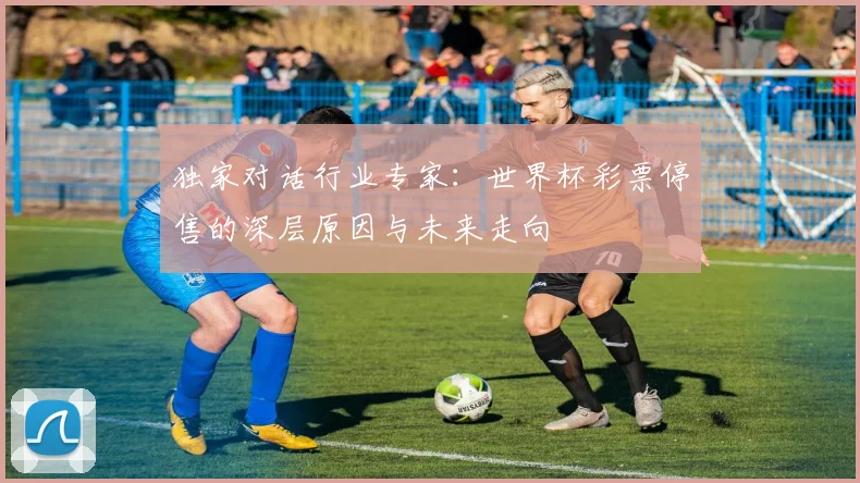 独家对话行业专家:世界杯彩票停售的深层原因与未来走向