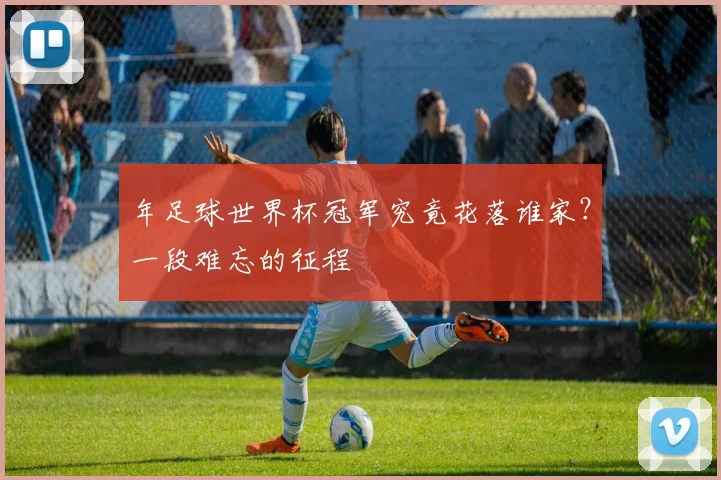 年足球世界杯冠军究竟花落谁家？一段难忘的征程