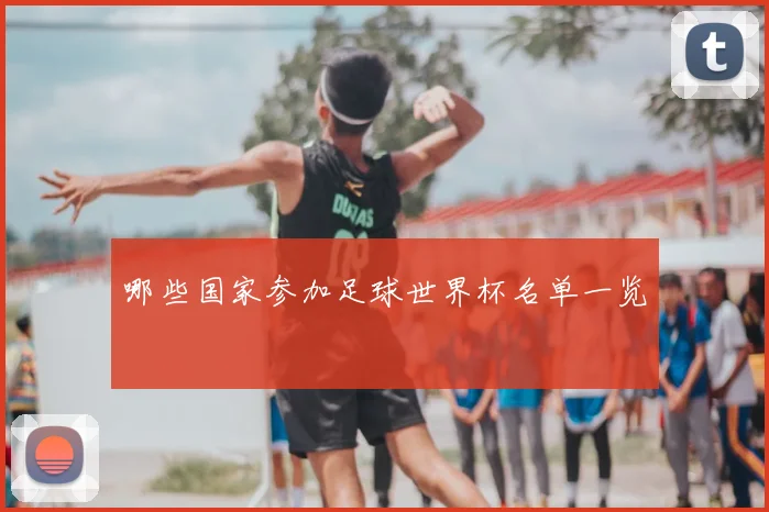 哪些国家参加足球世界杯名单一览