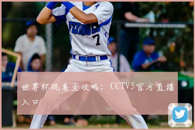 世界杯观看全攻略:CCTV5官方直播入口