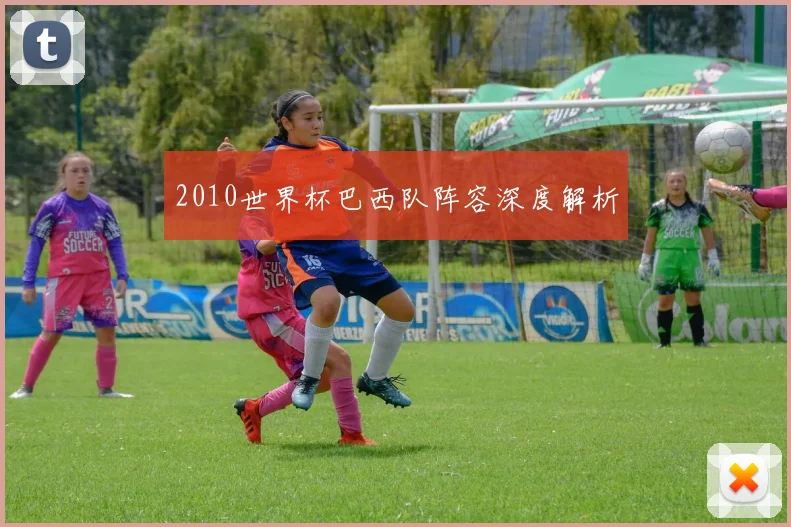 2010世界杯巴西队阵容深度解析