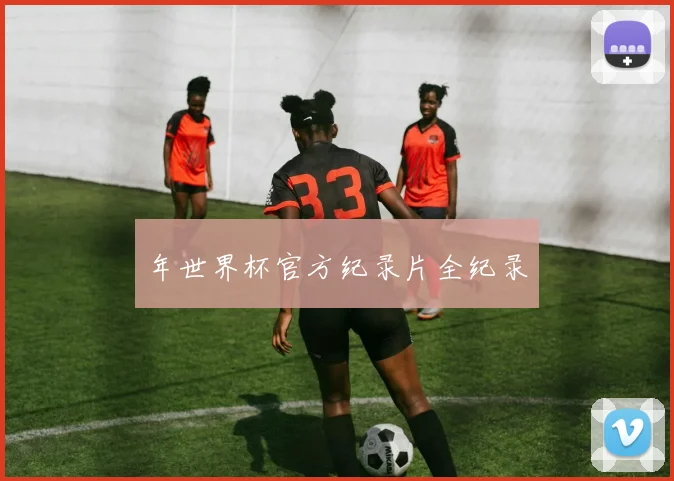 年世界杯官方纪录片全纪录